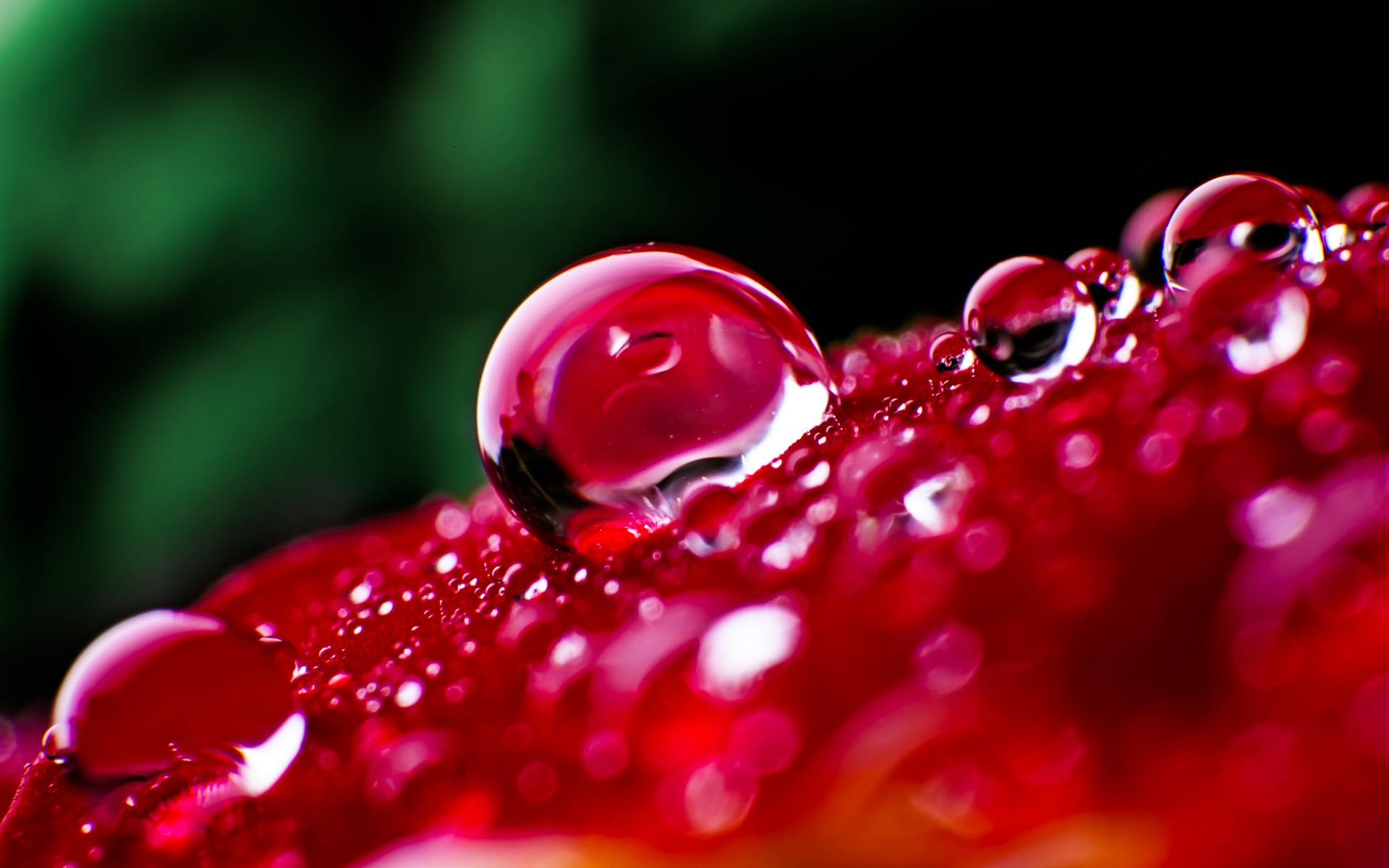 Extraordinary Waterdrops Wallpapers 1920x1200 | HD Wallpapers