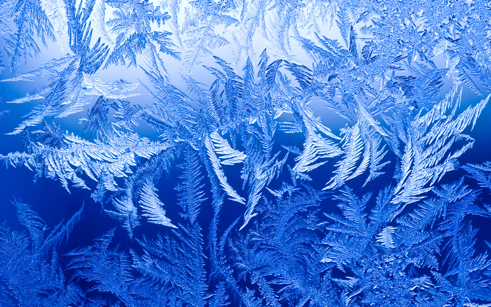 Ice Crystals Wallpapers - Top Free Ice Crystals Backgrounds ...