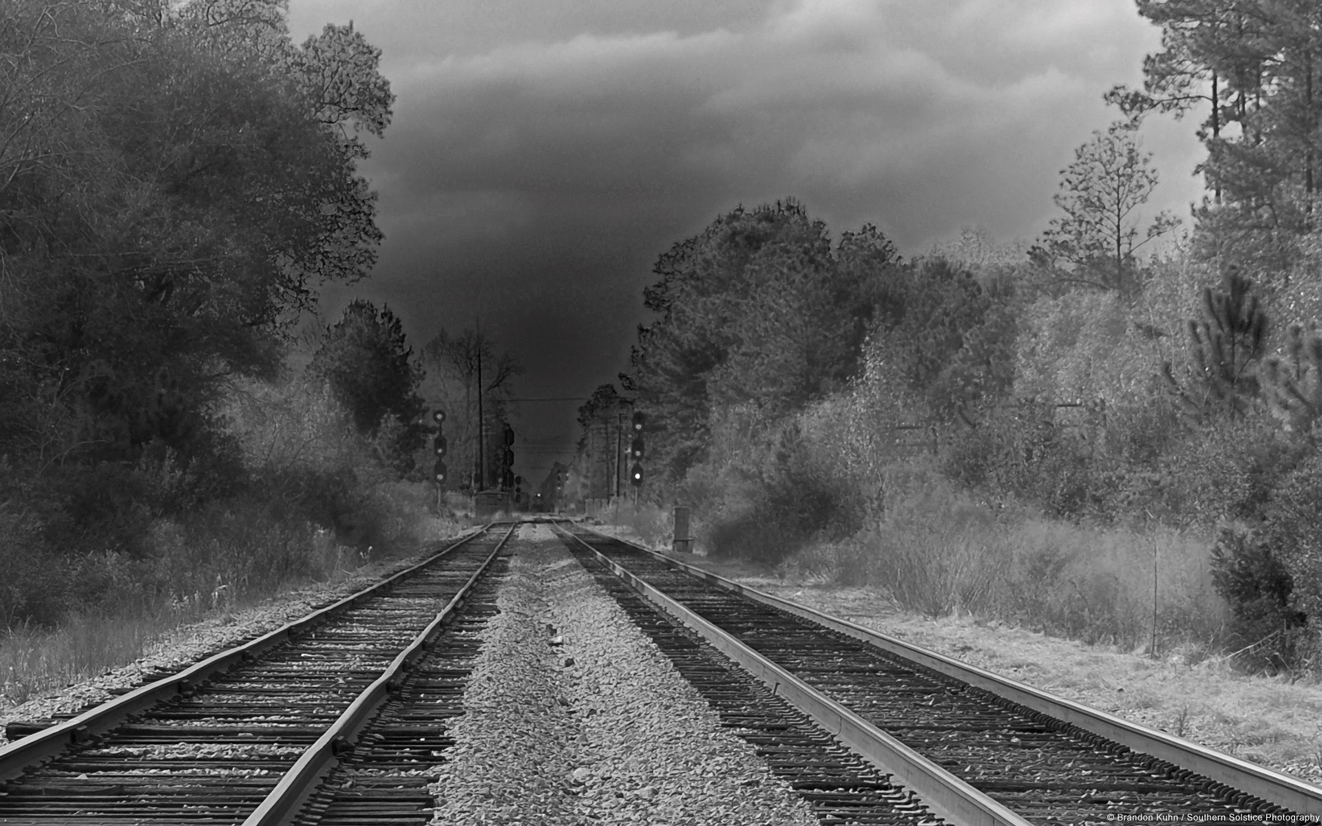 black and white tracks