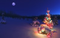 windows 7 winter wallpapers