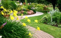 garden flowers