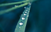 water drops macro