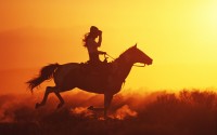 cowboy riding a horse