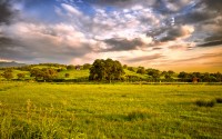 beautiful cottage landscape