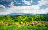 mountain green landscape