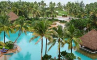 palms in a resort