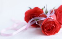 red roses wallpaper