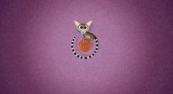 Ubuntu 13.04 Raring Ringtail wallpapers