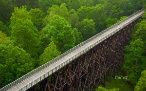 wooden bridge over forest