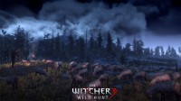 the witcher 3 wild hunt screen