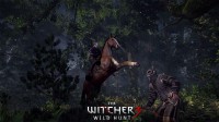 the witcher 3 wild hunt screen